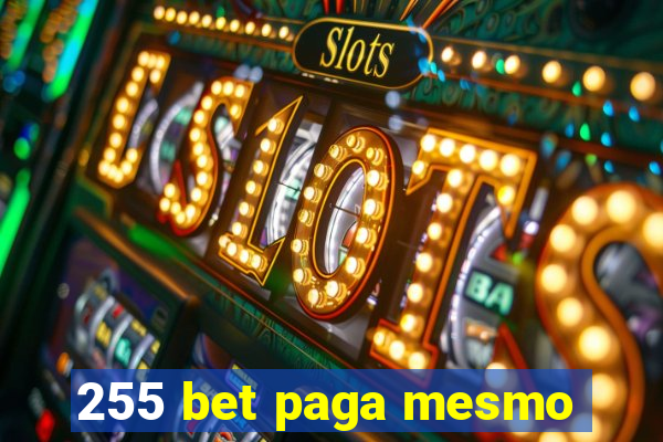 255 bet paga mesmo